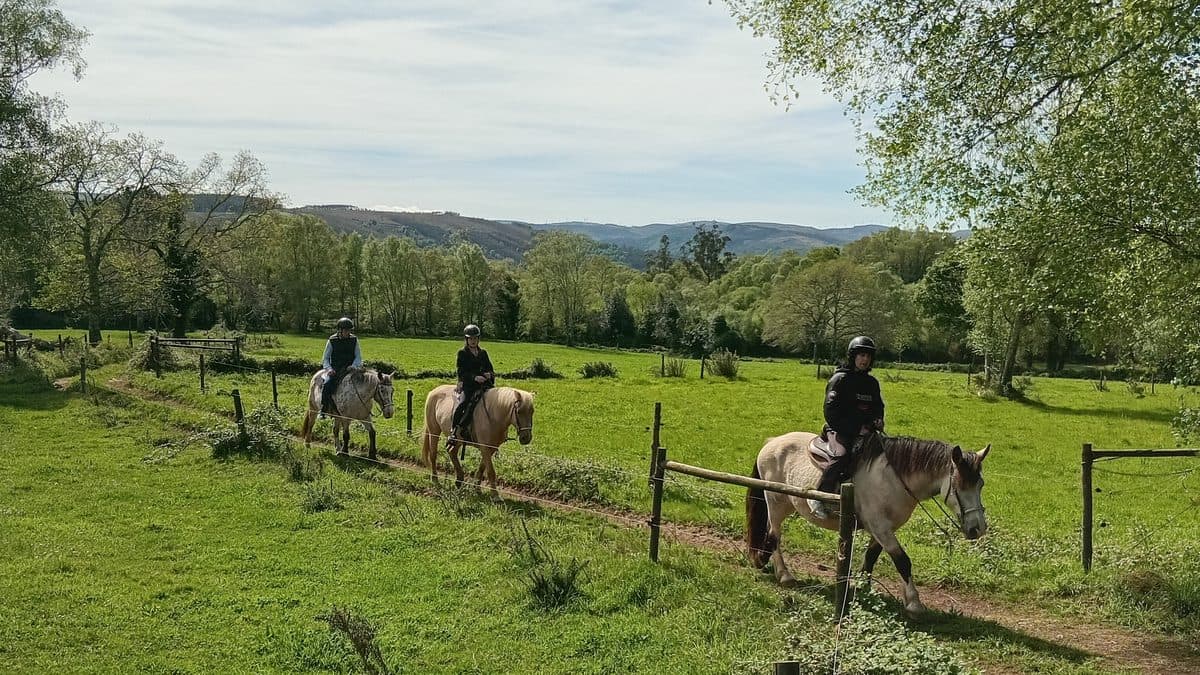 Ruta de iniciación a caballo