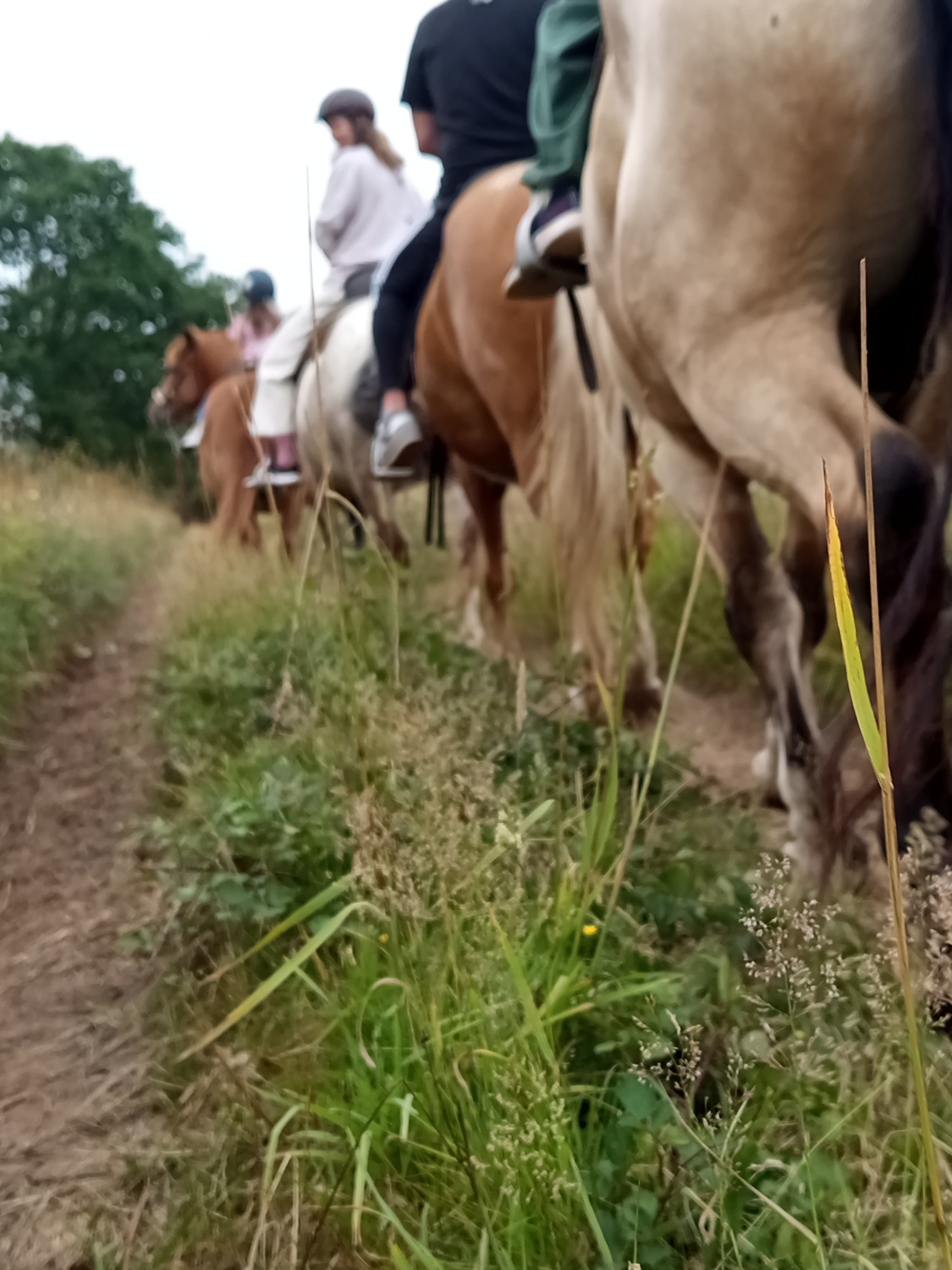 Añade una experiencia a caballo en Granja Labrada