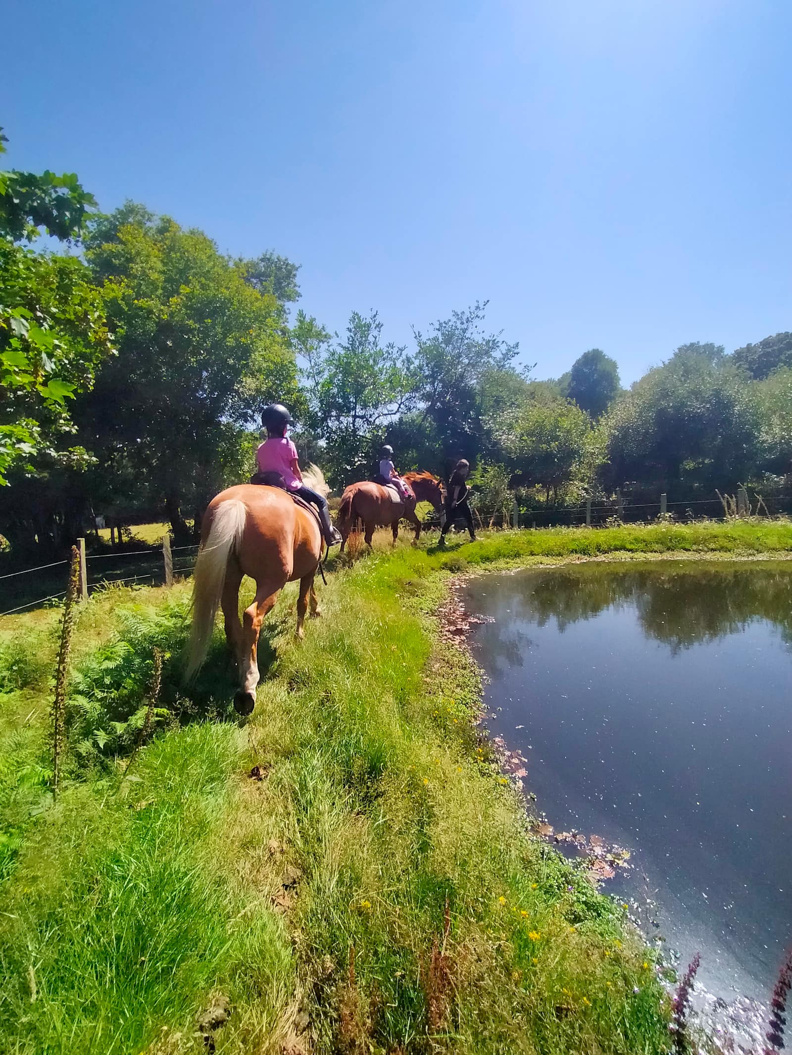 Escapada esencial con caballos
