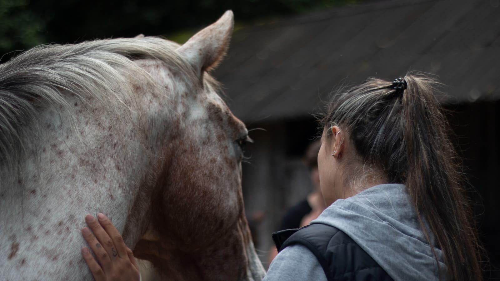 Retiro con caballos