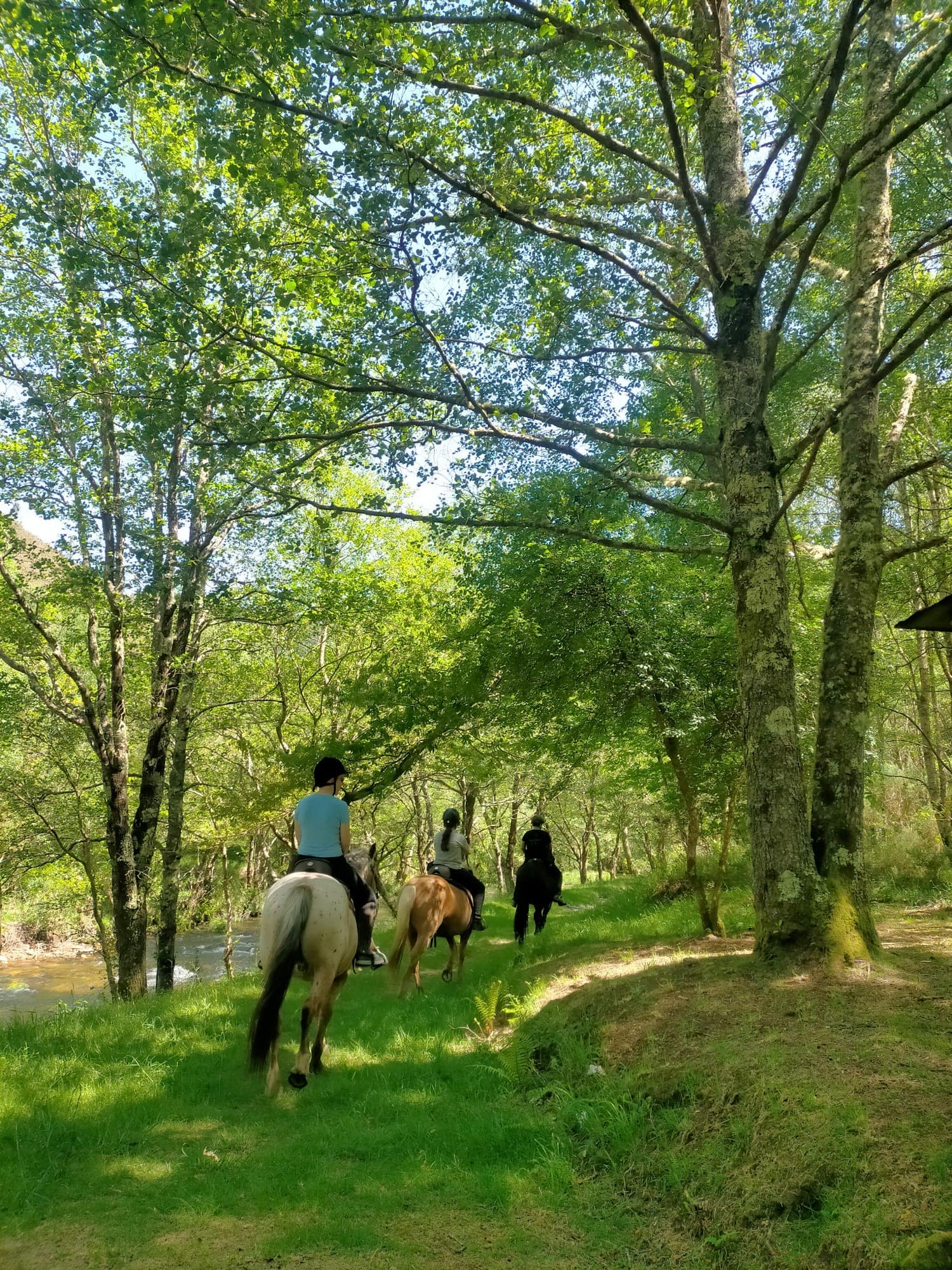 Vacaciones slow con caballos
