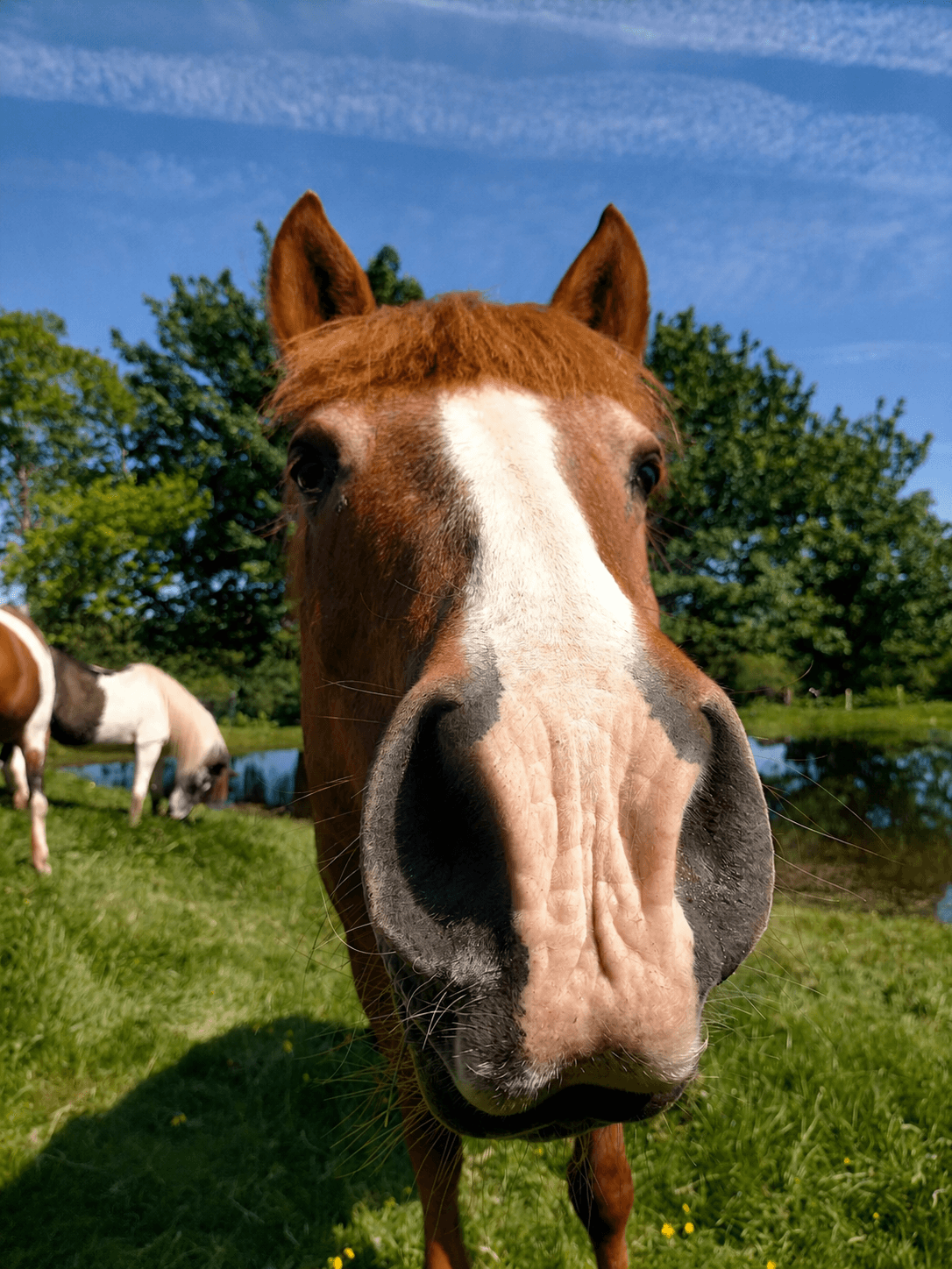 FAQs about Granja Labrada's farm stay