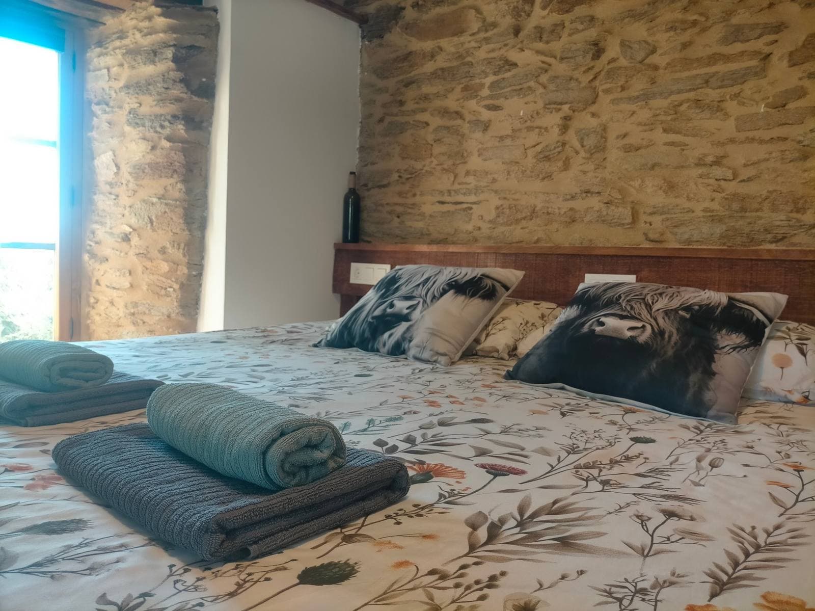 Alexo room