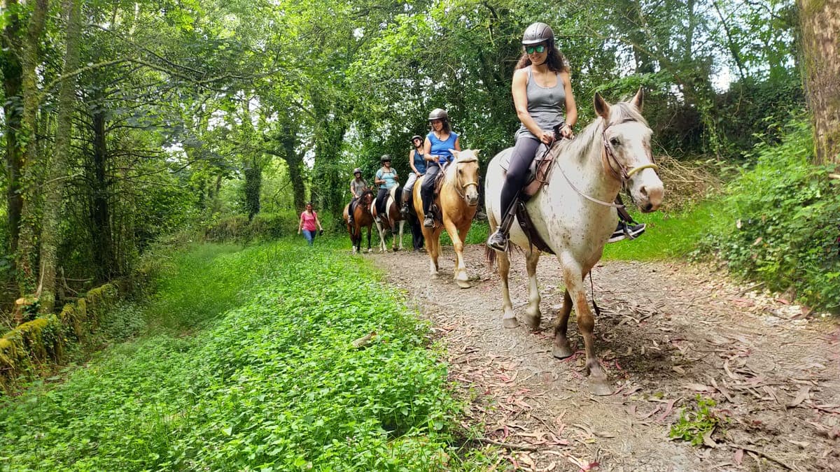 Paseo a caballo