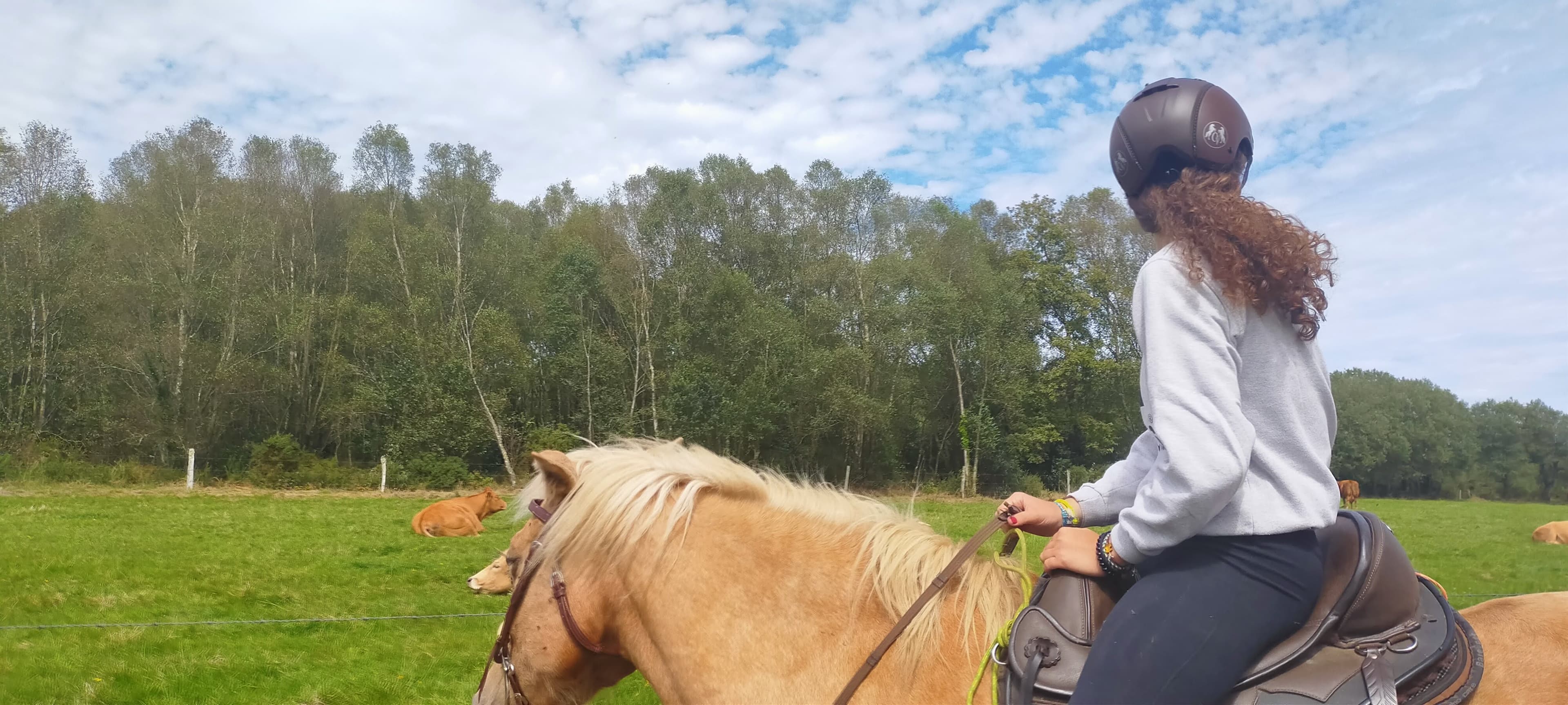 Horse during a training retreat at Granja Labrada