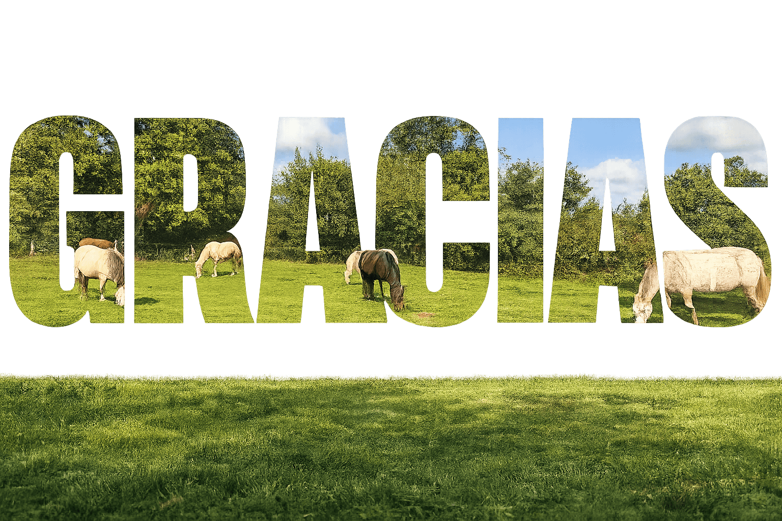 Thank you to everyone — Granja Labrada acknowledgements