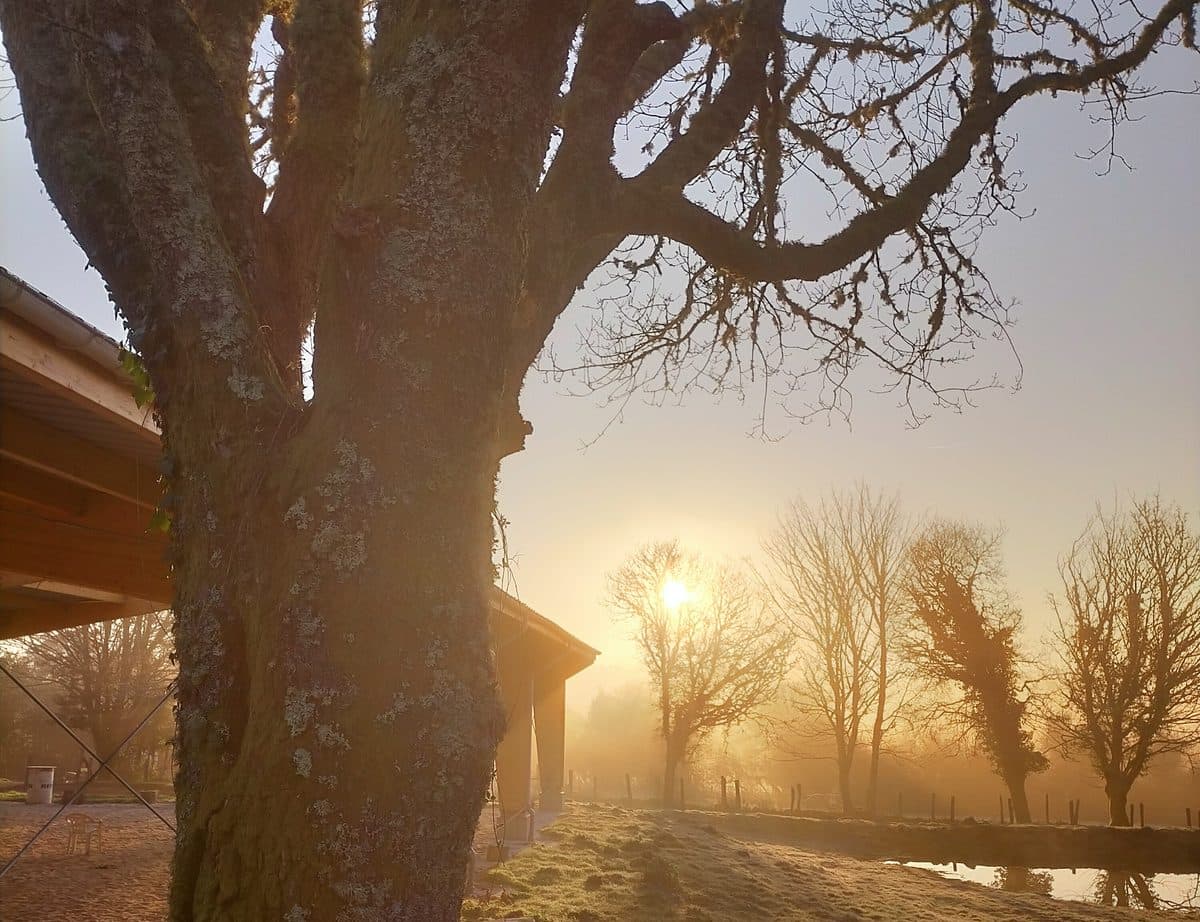 Sunrise at Granja Labrada