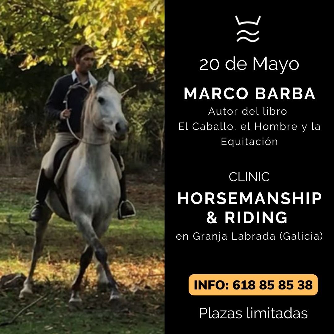 Horsemanshio & Riding Marco Barba 20 Mayo 2023
