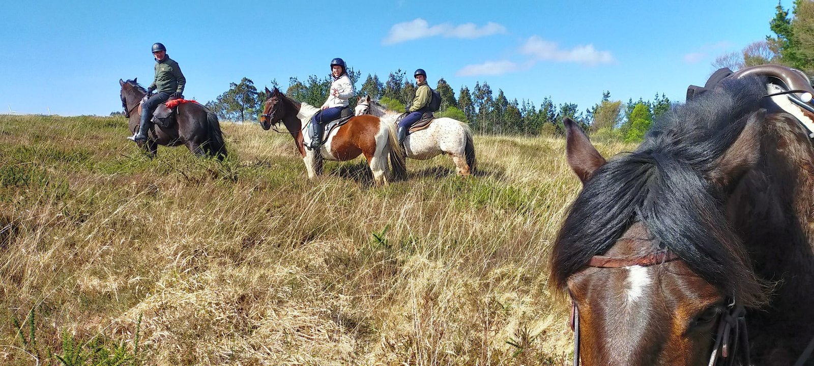 rutas-a-caballo-jinetes-con-experiencia