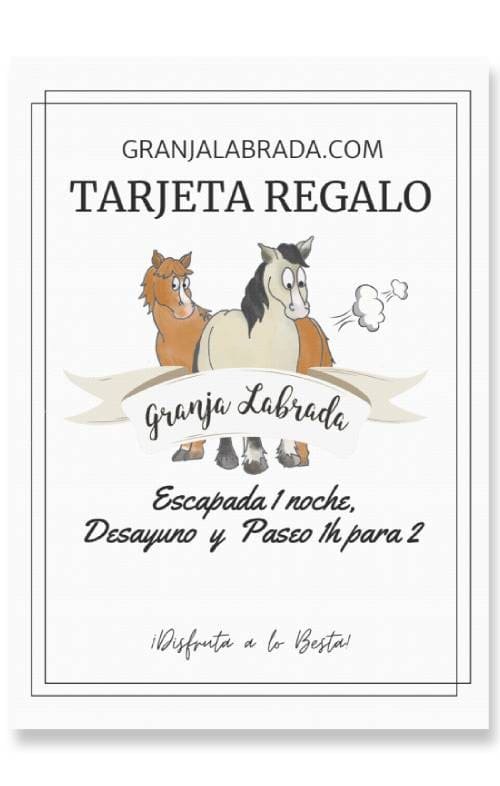 Escapada 1 noche + Paseo a caballo para 2 - Imagen 2